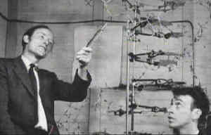 Francis Crick and James Watson